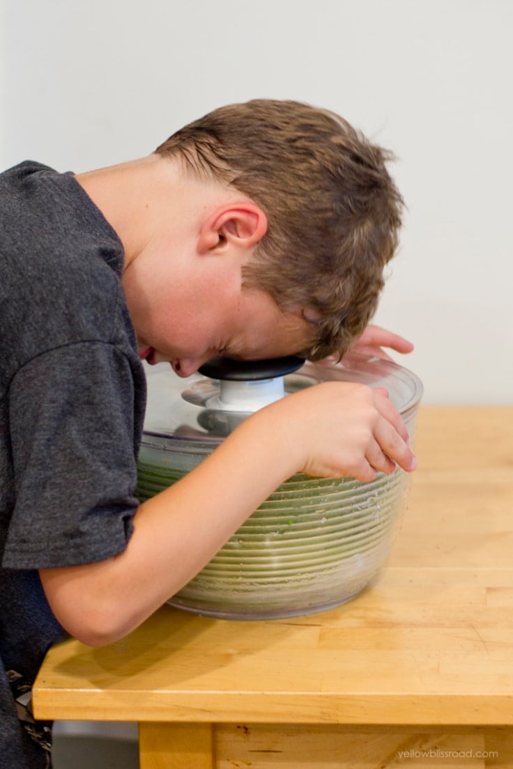 How To Wash And Store Lettuce 12 Incredible Salad Recipes