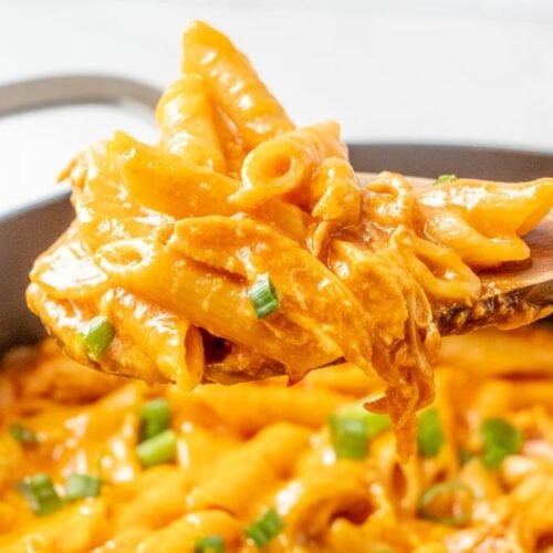 One Pot Cheesy Chicken Pasta Recipe 