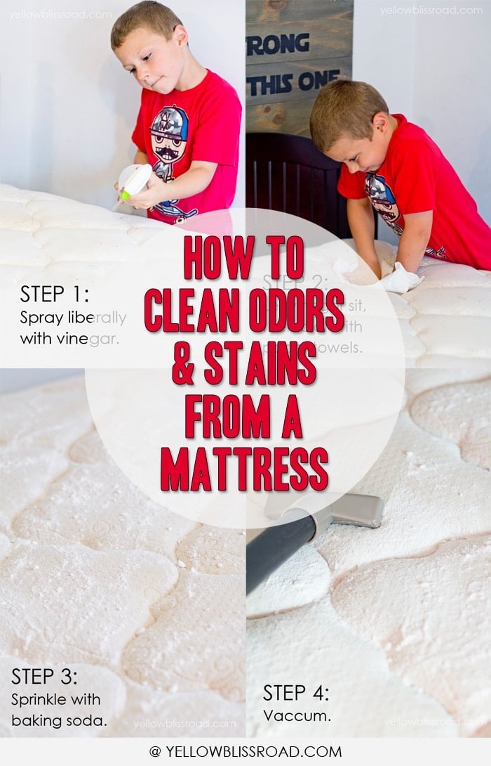 how to get cat pee off mattress