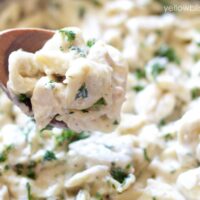 Tortellini With Creamy Garlic Parmesan Sauce | YellowBlissRoad.com