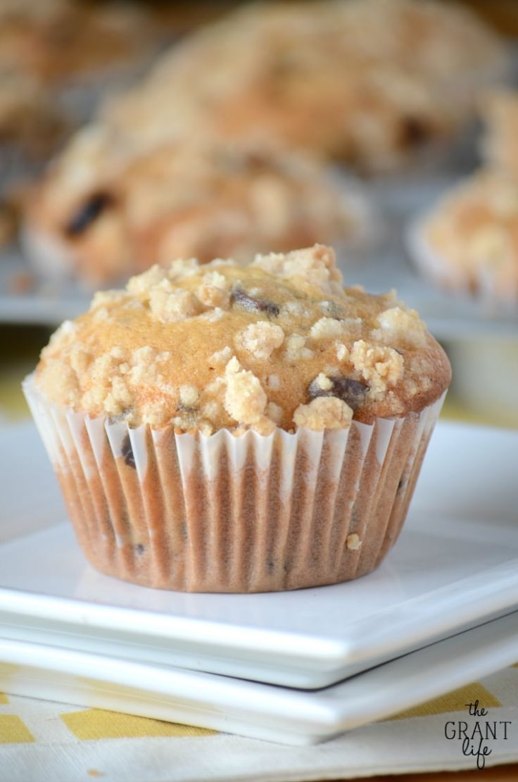 Bakery Style Chocolate Chip Muffins with Crumb Topping