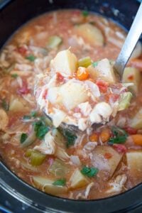 Slow Cooker Chicken Stew - Yellow Bliss Road