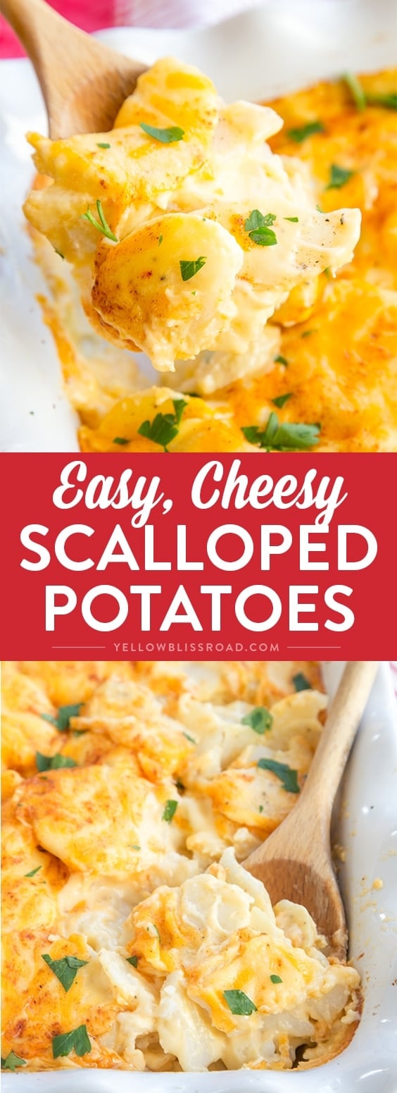 Easy Cheesy Scalloped Potatoes Recipe