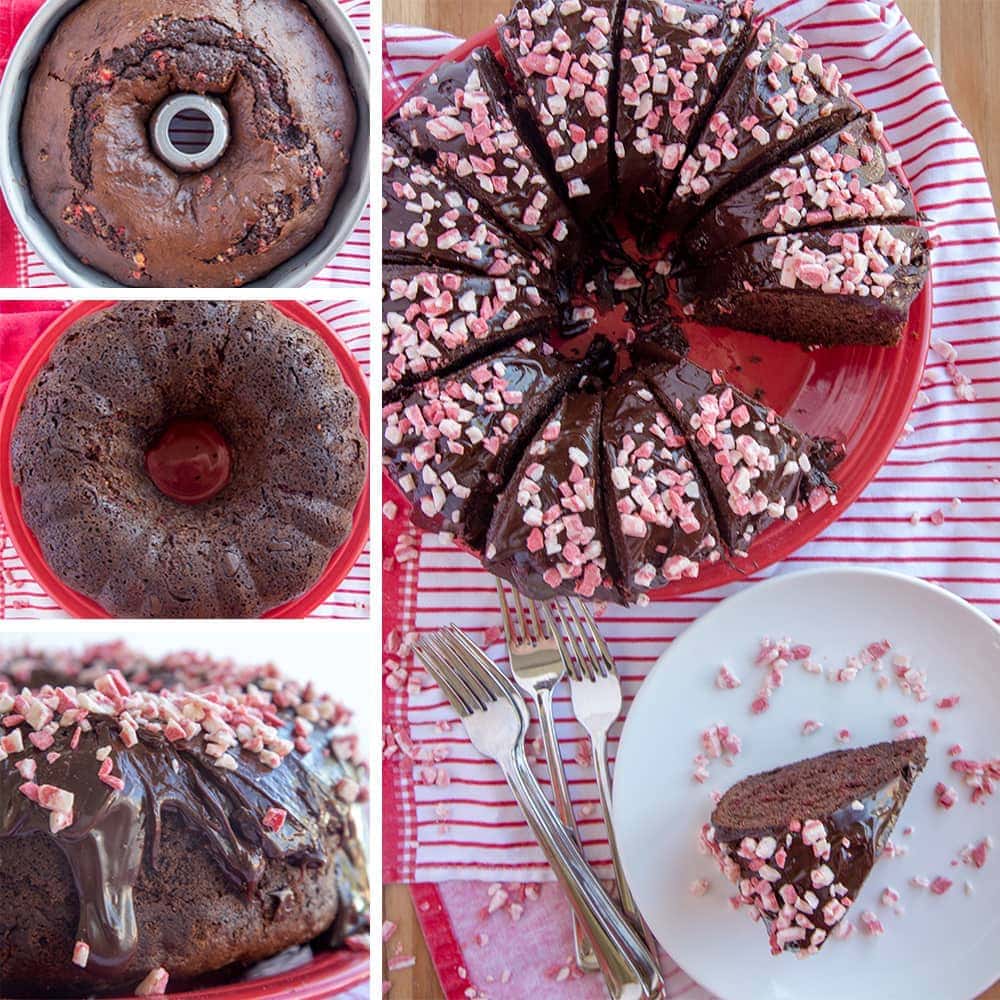 Chocolate Bundt Cake Recipe for Christmas - 31 Daily