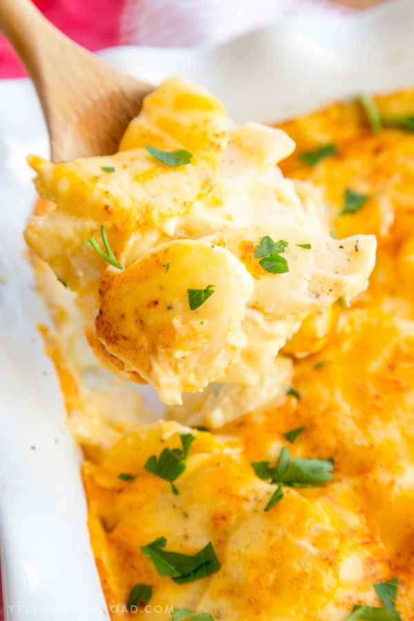 Cheesy Scalloped Potatoes (Au Gratin Potatoes) | YellowBlissRoad.com
