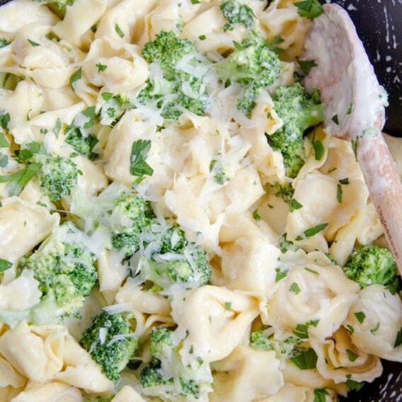 15 Minute Broccoli Tortellini Alfredo Yellow Bliss Road 6852