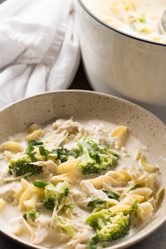 Chicken Alfredo Soup With Broccoli Creamy And Decadent One Pot Soup 6800