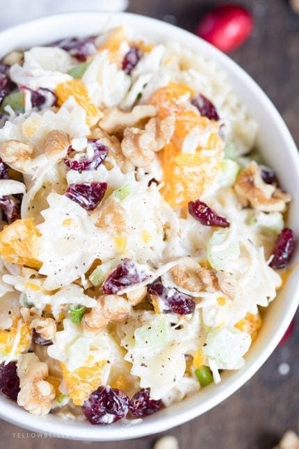 Turkey, Cranberry and Walnut Pasta Salad | Delicious and Easy!