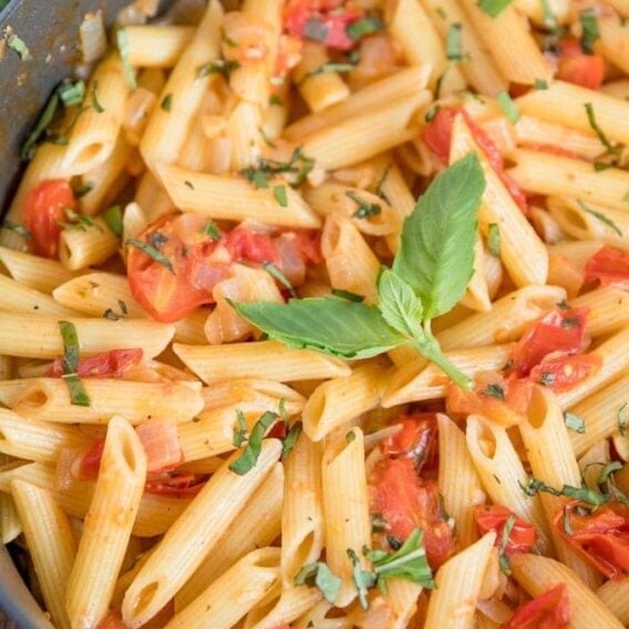 Tomato Basil Pasta | Easy Penne Pasta Recipe for Lunch or Dinner