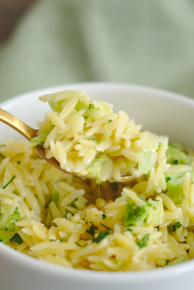 Broccoli Cheddar Orzo