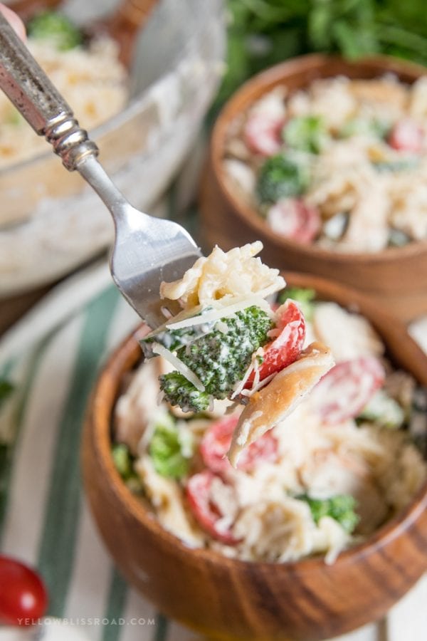 Creamy Chicken Pasta Salad - Yellow Bliss Road