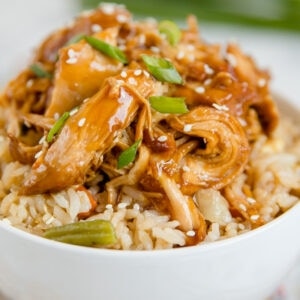 The Best Crock Pot Teriyaki Chicken | YellowBlissRoad.com