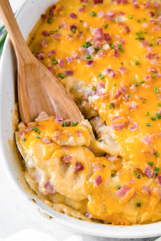 Cheesy Scalloped Potatoes and Ham Recipe | YellowBlissRoad.com
