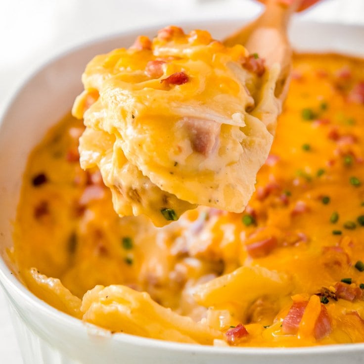 Cheesy Scalloped Potatoes and Ham Recipe