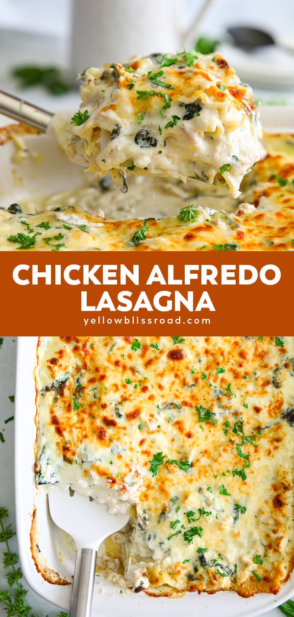 Easy Chicken Alfredo Lasagna (Chicken Lasagna) | YellowBlissRoad.com
