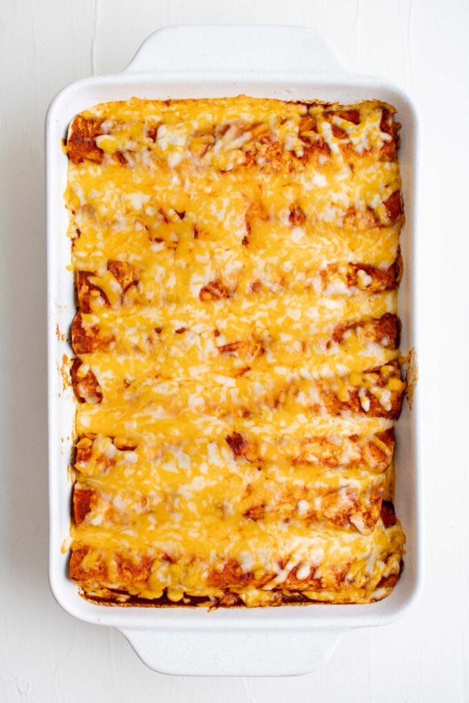 Easy Cheesy Ground Turkey Enchiladas - Yellow Bliss Road