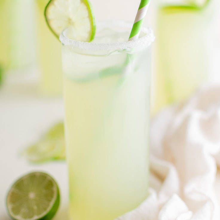 Homemade Limeade (Just 3 Ingredients!) | YellowBlissRoad.com