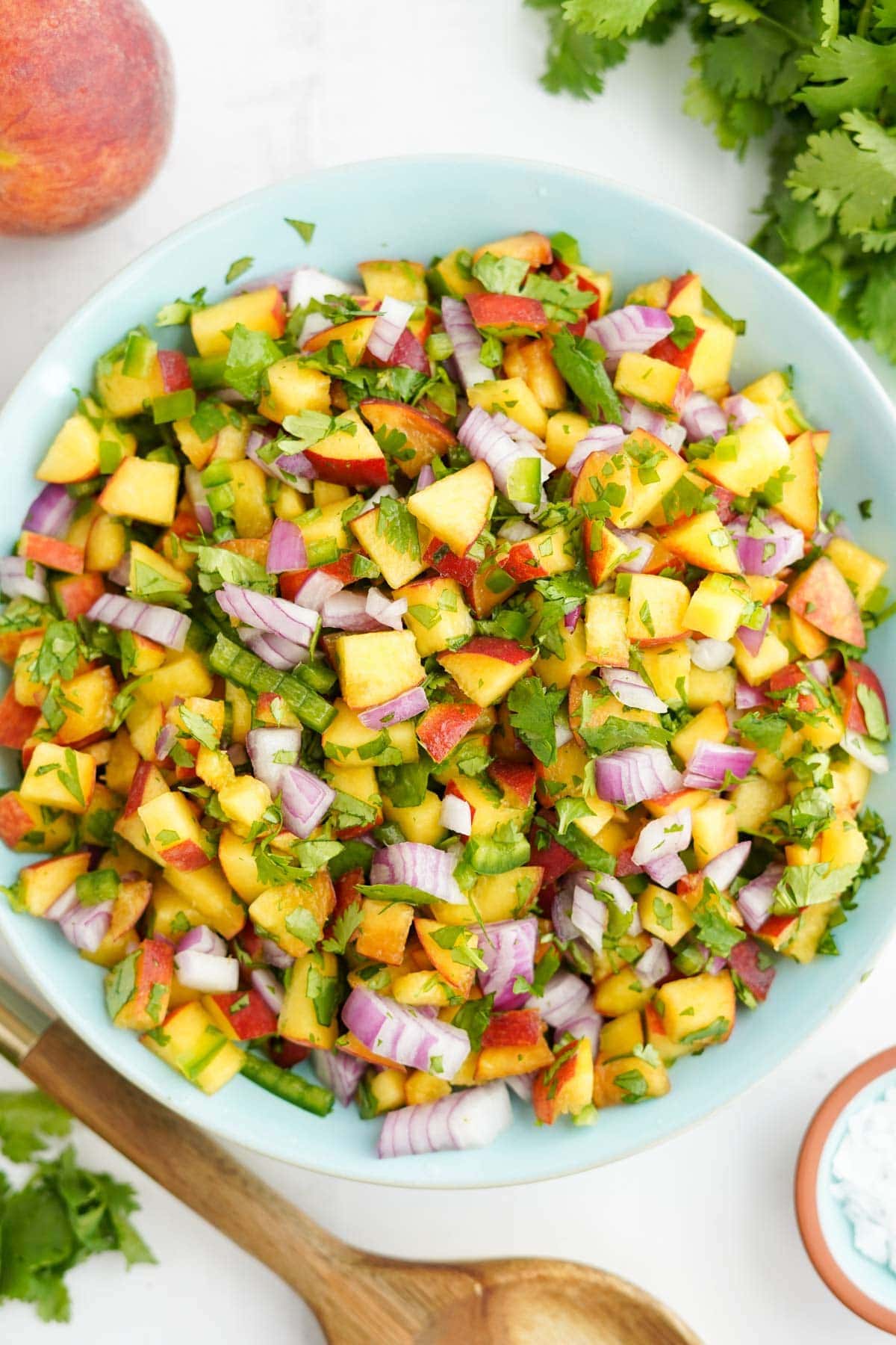 The BEST Peach Salsa Recipe | YellowBlissRoad.com