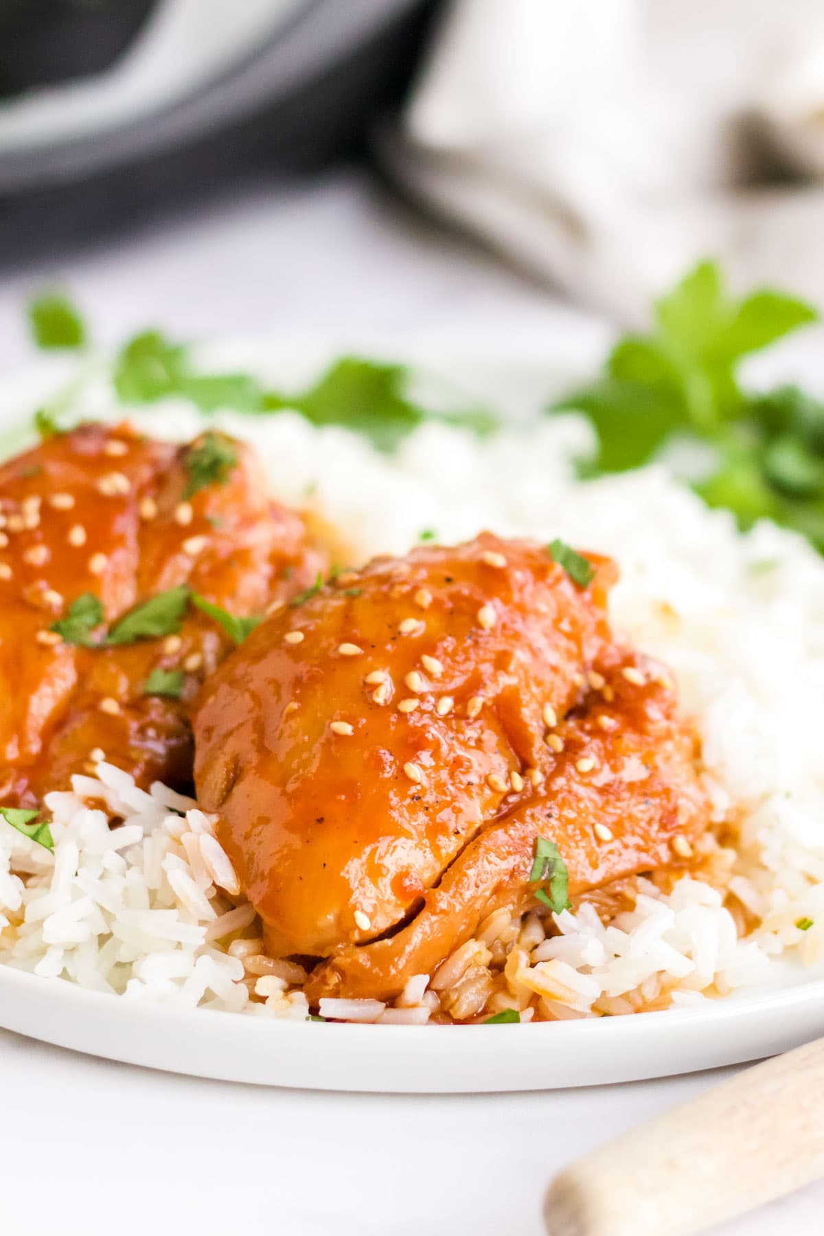 Slow Cooker Chicken Thighs | YellowBlissRoad.com