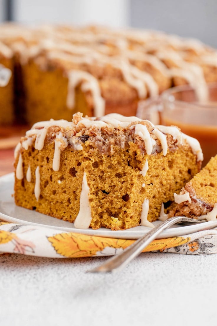 Pumpkin Coffee Cake with Pecan Streusel - Yellow Bliss Road