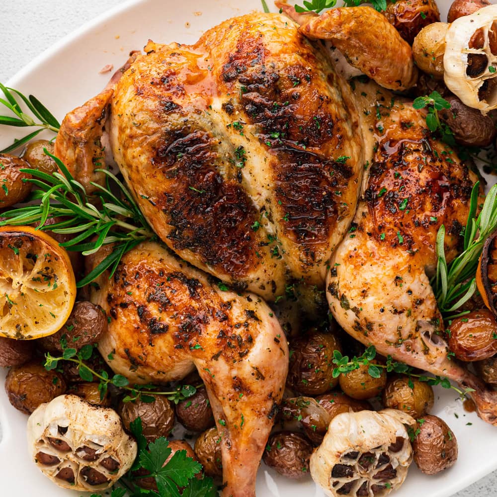 Spatchcock Roasted Chicken Recipe