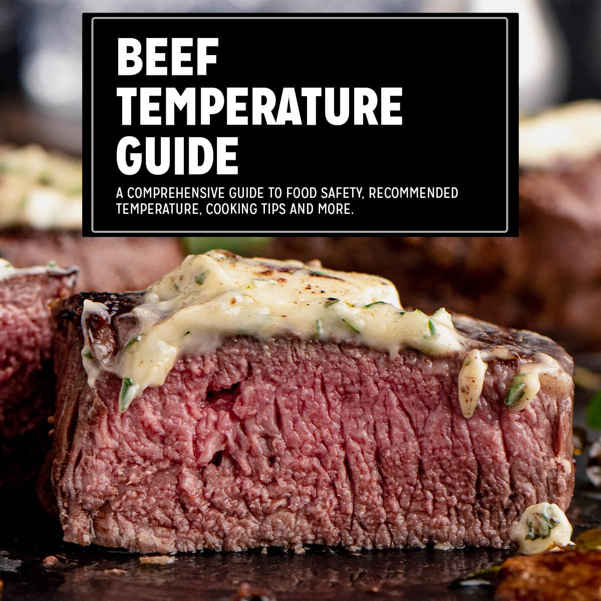 Beef Temperature Chart - Yellow Bliss Road