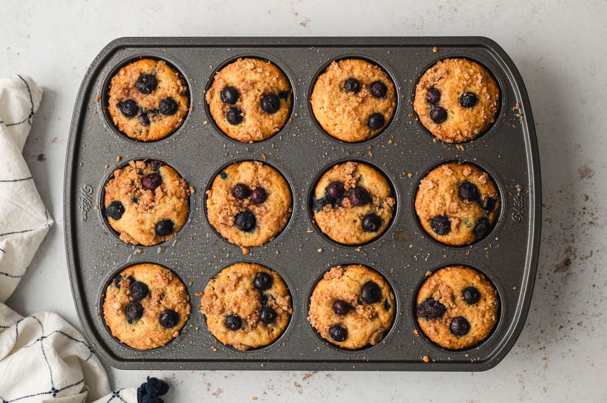 Baked blueberry muffins in a muffin pan