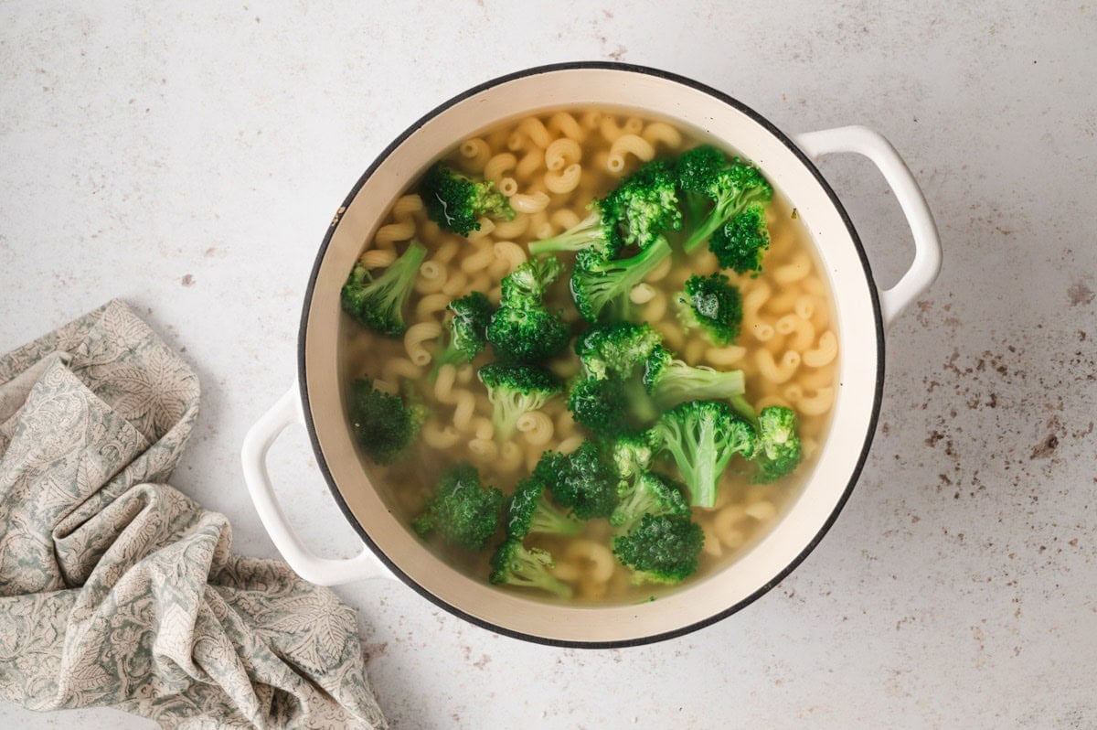 pasta and broccoli in a large pot.