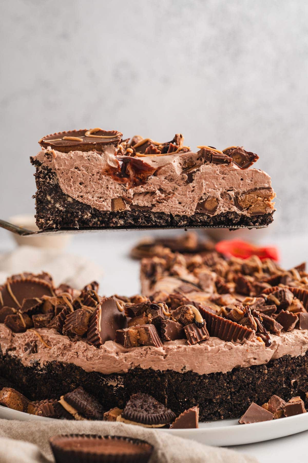 slice of peanut butter cheesecake lifter with a serving spatula.